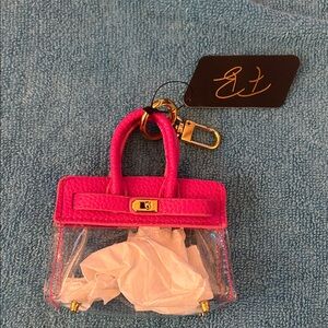 Chic Pink and Clear Mini Tote